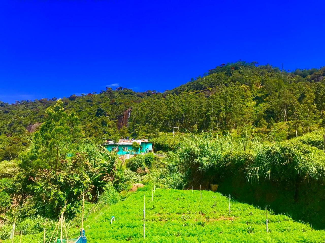 Loversleap Bungalow Nuwara Eliya Exterior photo